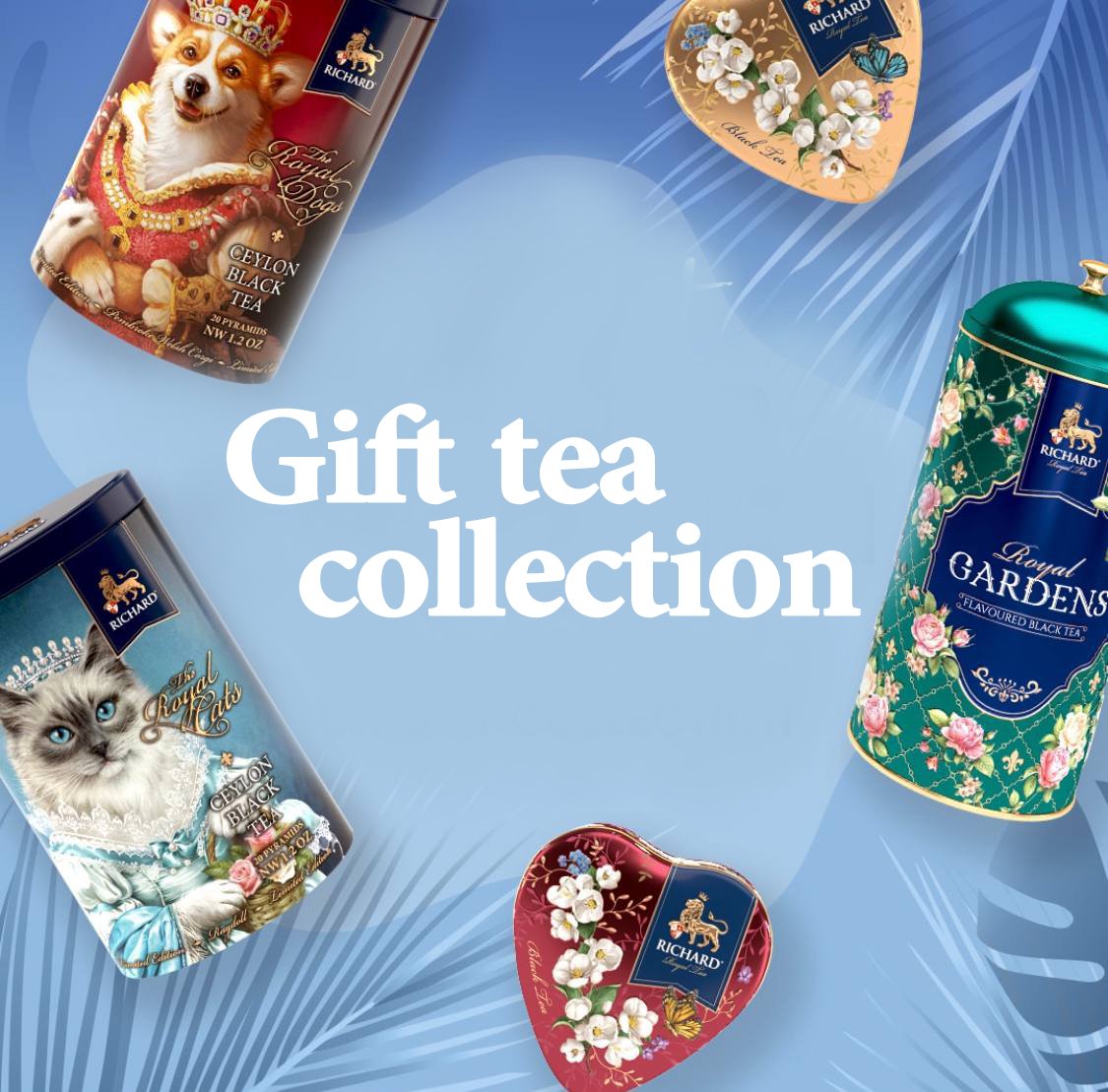 Gift Tea Collection